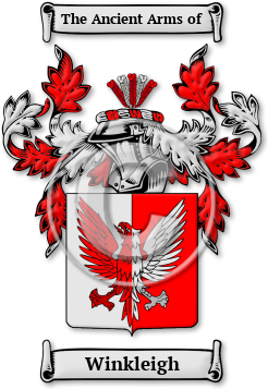 Winkleigh Family Crest Download (jpg) Legacy Series - 150 DPI