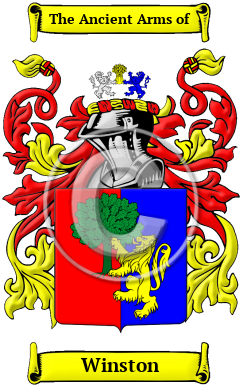 Winston Family Crest/Coat of Arms