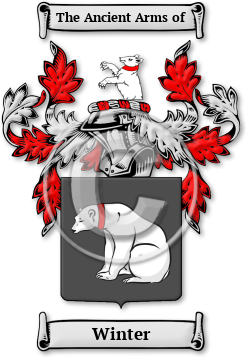 Winter Family Crest Download (jpg) Legacy Series - 150 DPI