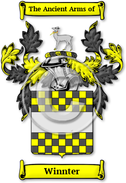 Winnter Family Crest Download (jpg) Legacy Series - 150 DPI