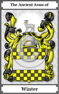 Winter Family Crest Download (JPG)  Book Plated - 150 DPI