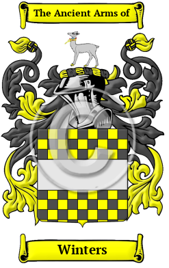 Winters Family Crest/Coat of Arms