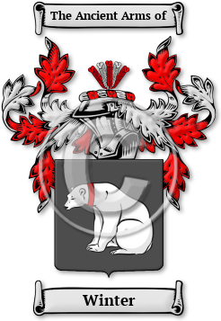 Winter Family Crest Download (jpg) Legacy Series - 150 DPI