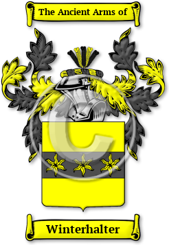 Winterhalter Family Crest Download (jpg) Legacy Series - 150 DPI