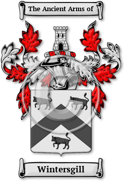 Wintersgill Family Crest Download (jpg) Legacy Series - 150 DPI