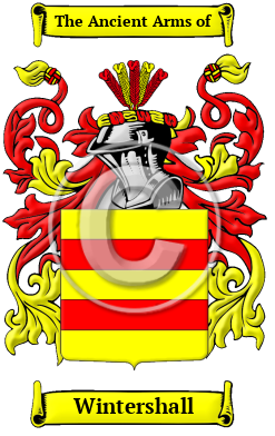 Wintershall Family Crest/Coat of Arms