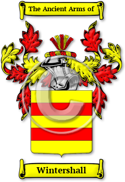 Wintershall Family Crest Download (jpg) Legacy Series - 150 DPI
