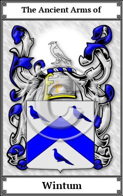 Wintum Family Crest Download (JPG) Book Plated - 600 DPI