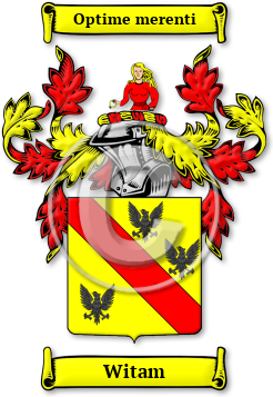 Witam Family Crest Download (jpg) Legacy Series - 150 DPI