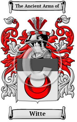 Witte Family Crest Download (JPG) Heritage Series - 600 DPI