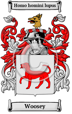 Woosey Family Crest/Coat of Arms