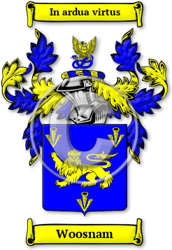 Woosnam Family Crest Download (JPG) Legacy Series - 600 DPI