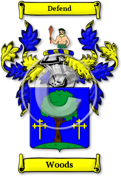 Woods Family Crest Download (JPG) Legacy Series - 600 DPI