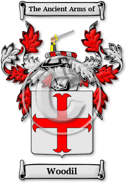 Woodil Family Crest Download (jpg) Legacy Series - 150 DPI