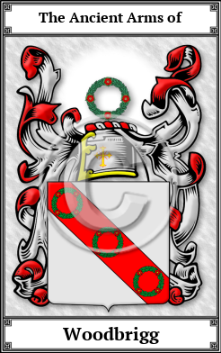 Woodbrigg Family Crest Download (JPG) Book Plated - 600 DPI