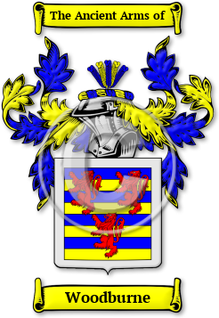 Woodburne Family Crest Download (jpg) Legacy Series - 150 DPI