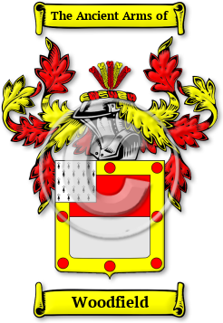 Woodfield Family Crest Download (jpg) Legacy Series - 150 DPI
