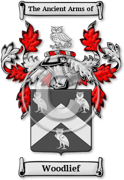 Woodlief Family Crest Download (jpg) Legacy Series - 150 DPI