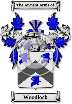 Woodlock Family Crest Download (jpg) Legacy Series - 150 DPI