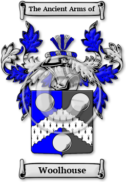 Woolhouse Family Crest Download (jpg) Legacy Series - 150 DPI