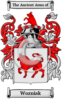 Wozniak Family Crest/Coat of Arms