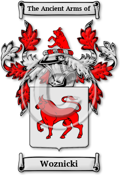 Woznicki Family Crest Download (jpg) Legacy Series - 150 DPI