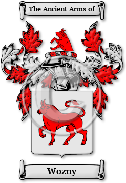 Wozny Family Crest Download (jpg) Legacy Series - 150 DPI