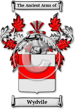 Wydvile Family Crest Download (jpg) Legacy Series - 150 DPI