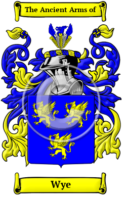 Wye Family Crest Download (JPG) Heritage Series - 600 DPI