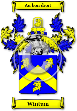 Wintum Family Crest Download (JPG) Legacy Series - 600 DPI