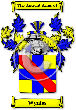 Wyniss Family Crest Download (jpg) Legacy Series - 150 DPI