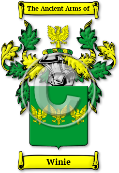 Winie Family Crest Download (jpg) Legacy Series - 150 DPI