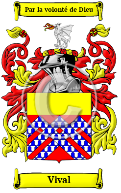 Vival Family Crest/Coat of Arms