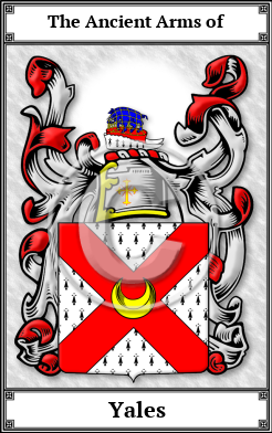 Yales Family Crest Download (JPG) Book Plated - 600 DPI