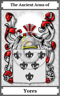 Yores Family Crest Download (JPG)  Book Plated - 150 DPI