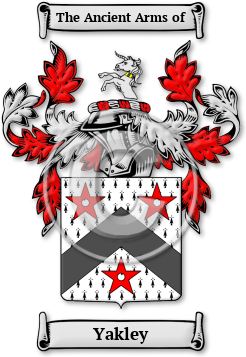 Yakley Family Crest Download (JPG) Legacy Series - 600 DPI