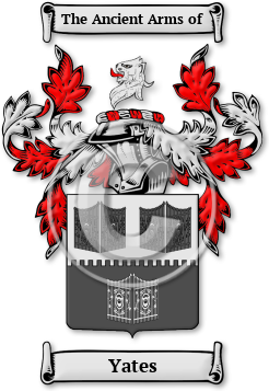 Yates Family Crest Download (jpg) Legacy Series - 150 DPI