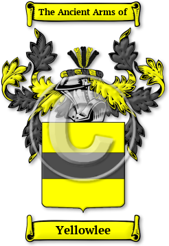 Yellowlee Family Crest Download (JPG) Legacy Series - 600 DPI