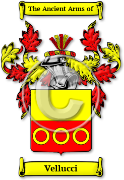 Vellucci Family Crest Download (jpg) Legacy Series - 150 DPI