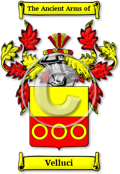 Velluci Family Crest Download (jpg) Legacy Series - 150 DPI