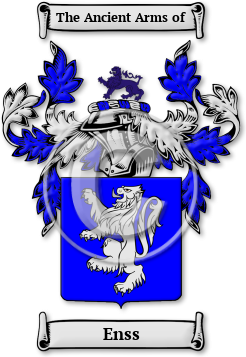 Enss Family Crest Download (jpg) Legacy Series - 150 DPI