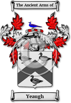 Yeaugh Family Crest Download (JPG) Legacy Series - 600 DPI