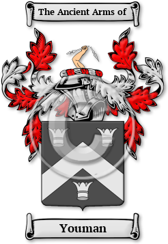 Youman Family Crest Download (jpg) Legacy Series - 150 DPI