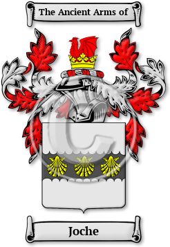Joche Family Crest Download (jpg) Legacy Series - 150 DPI