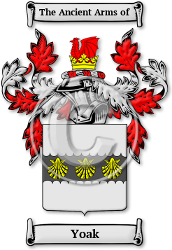 Yoak Family Crest Download (jpg) Legacy Series - 150 DPI