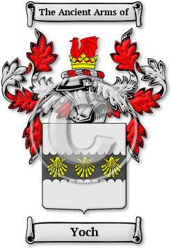 Yoch Family Crest Download (jpg) Legacy Series - 150 DPI