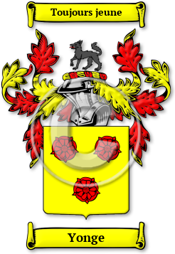Yonge Family Crest Download (jpg) Legacy Series - 150 DPI