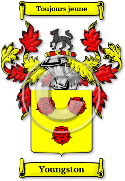 Youngston Family Crest Download (jpg) Legacy Series - 150 DPI