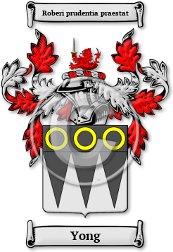 Yong Family Crest Download (jpg) Legacy Series - 150 DPI