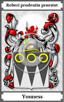 Youness Family Crest Download (JPG)  Book Plated - 150 DPI